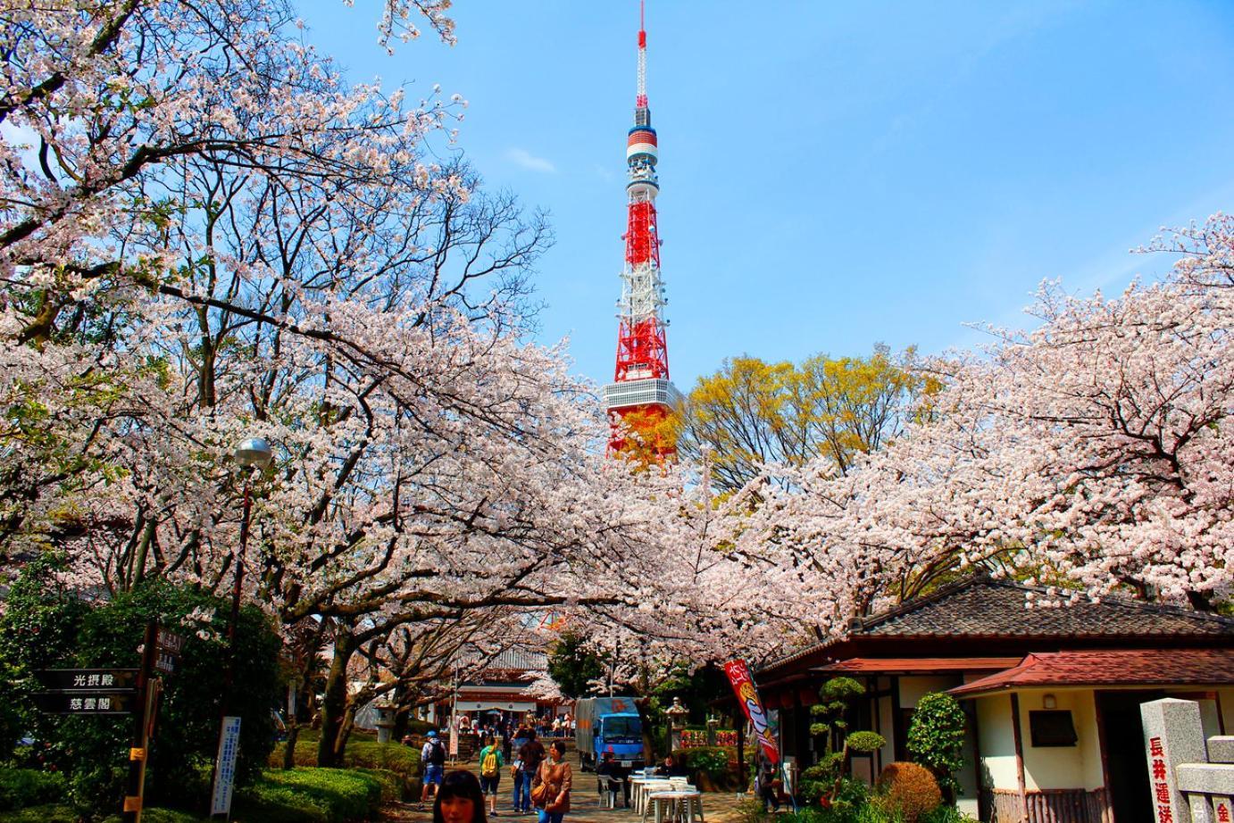 Rose Stay Tokyo Shiba Park Buitenkant foto